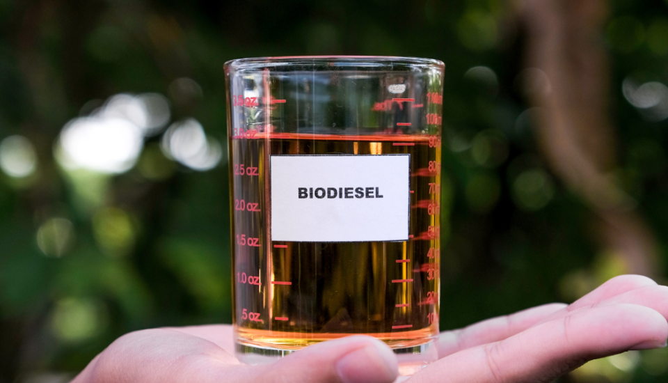 Bauernverband: Gefälschter Biodiesel – Betrug liegt „offen auf dem Tisch“