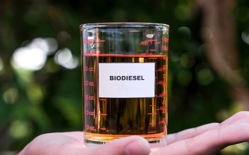 Bauernverband: Gefälschter Biodiesel – Betrug liegt „offen auf dem Tisch“