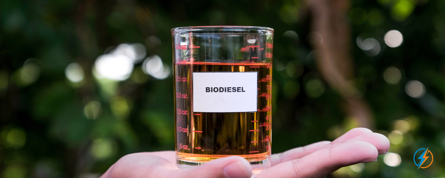Bauernverband: Gefälschter Biodiesel – Betrug liegt „offen auf dem Tisch“