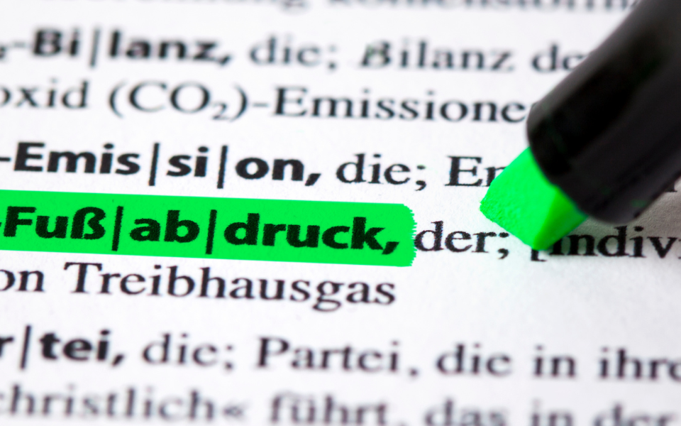 CO2-Zertifikate: UNO für strikte Kontrollen gegen Greenwashing