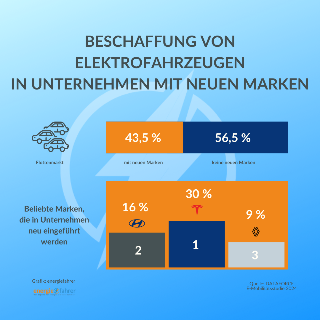 BESCHAFFUNG VON ELEKTROFAHRZEUGEN IN UNTERNEHMEN MIT NEUEN MARKEN