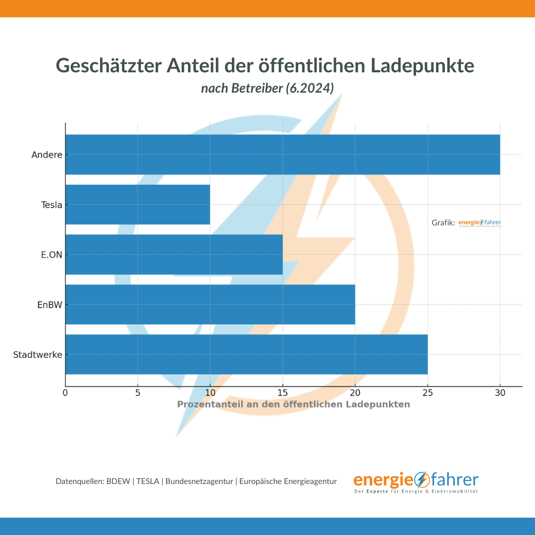 Geschätzter Anteil der öffentlichen Ladepunkte nach Betreiber (2024)