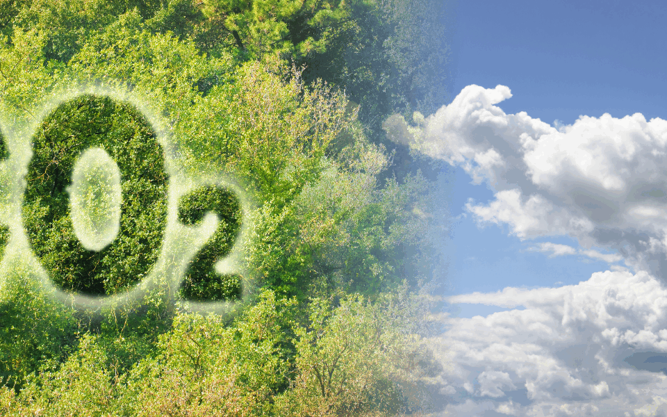 ETS2 ab 2027: Erfolgsstrategien für Unternehmen