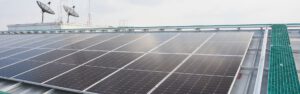 Solarstrom-Nutzen: Was Unternehmen daraus lernen können